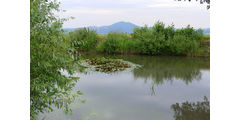 Pilgerandacht auf dem Hasunger Berg (Foto: Karl-Franz Thiede)